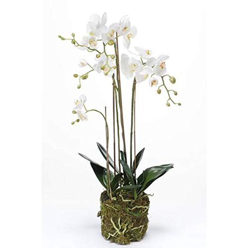 artplants.de Künstliche Orchidee Phalaenopsis Pabla im Erdballen, weiß - gelb, 80cm - hochwertige Kunstorchidee von artplants