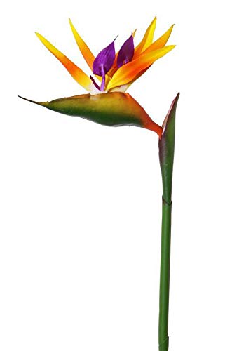 artplants.de Künstliche Papageienblume LATIFA, orange-violett, 80 cm, 17x20 cm - Künstliche Blume von artplants