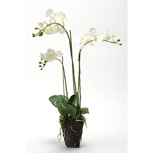 artplants.de Künstliche Phalaenopsis Orchidee Pabla im Erdballen, weiß - gelb, 70cm - hochwertige Kunstorchidee von artplants