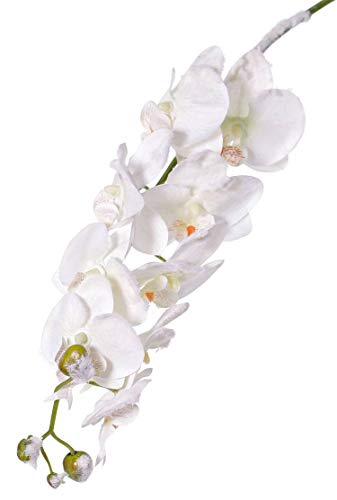 artplants.de Künstliche Phalaenopsis Orchideenzweig Nalani, Schnee, weiß, 80cm - Kunstblumen - Kunstorchidee von artplants