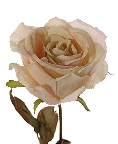 artplants.de Künstliche Rose NAJMA, Creme, 65cm, Ø11cm - Künstliche Rose von artplants