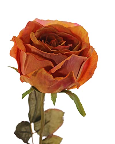 artplants.de Künstliche Rose NAJMA, orange, 65cm, Ø11cm - Künstliche Rose von artplants