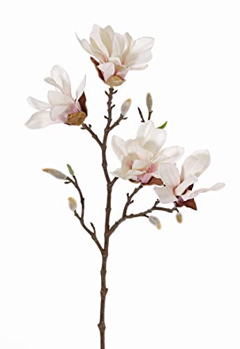 artplants.de Künstliche Sternmagnolie Azula, Creme-rosa, 60cm, Ø7-9cm - Deko Blumen/Textilblumen von artplants