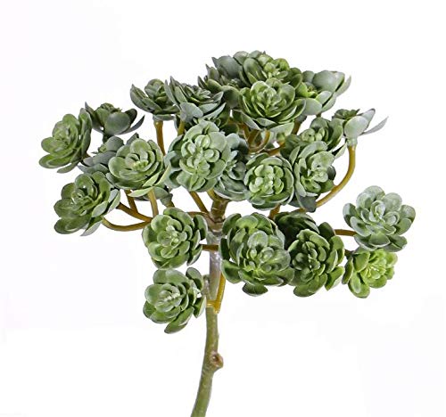 artplants.de Künstliche Sukkulente Echeveria Blair auf Steckstab, grün, 20cm, Ø 10cm von artplants