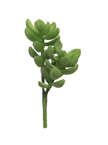 artplants.de Künstliche Sukkulente Geldbaum MUNING, Steckstab, grün, 14 cm - Sukkulent künstlich von artplants