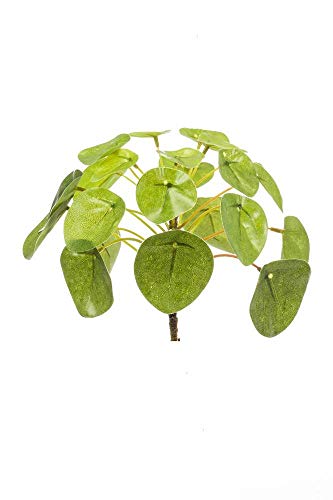 artplants.de Künstliche Sukkulente Glückstaler Sybil auf Steckstab, grün, 13cm - Kunstpflanze Pilea von artplants.de