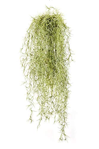 artplants.de Künstliche Tillandsia Usneoides Ranke IRMENA, 115 Zweige, grün-gelb, 80cm - Ranke künstlich - Deko Pflanze von artplants