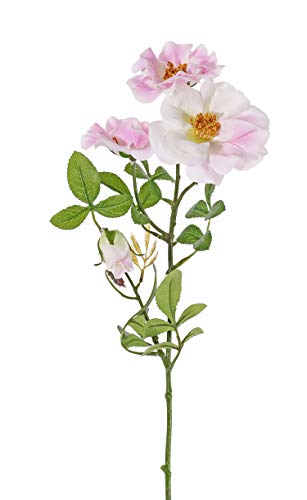 artplants.de Künstliche Wildrose BALOU, weiß-rosa, 60cm, Ø7-9cm - Deko Blumen/Textilblumen von artplants.de