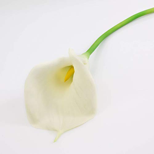 artplants.de Künstliche XL Calla, Creme - weiß, real - Touch, 70cm, 10x18cm - Kunst Calla - Kunstblume - Kunststoffblume von artplants.de