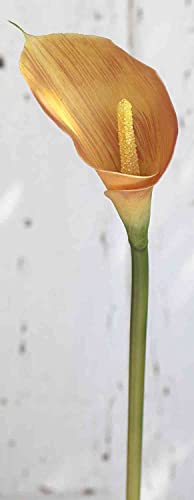 artplants.de Künstliche Zantedeschie Eveline, orange, 70cm, 5x8cm - Kunstblume Zantedeschia von artplants