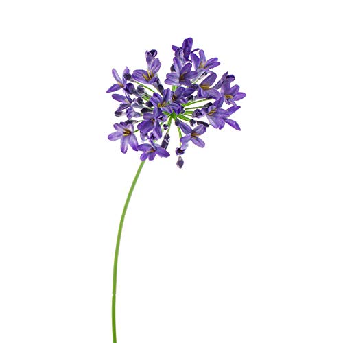 artplants.de Künstlicher Agapanthus PHILINA, blau, 75cm, Ø 14cm - Deko Blume von artplants
