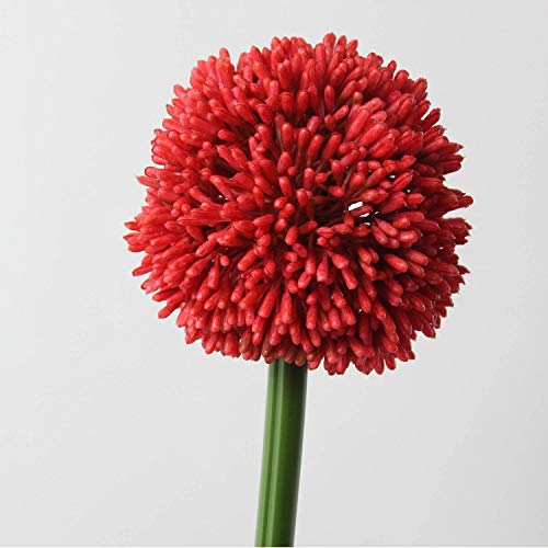 artplants.de Künstlicher Alliumzweig, rot, 55cm, Ø 10cm - Kunstallium - Kunstlauch von artplants