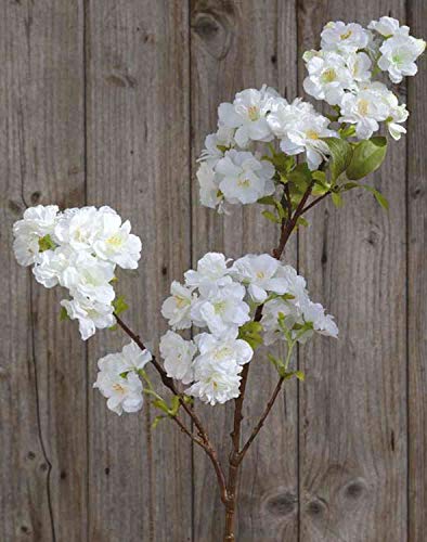 artplants.de Künstlicher Blütenzweig Kirsche MATSUDA mit Blüten, Creme-weiß, 80cm - Kirschblütenzweig Deko/Kunstblumen Zweig von artplants