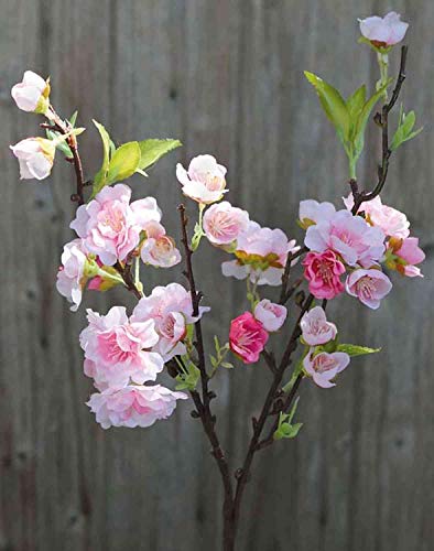 artplants.de Künstlicher Blütenzweig Kirsche SOEY mit Blüten, weiß-rosa, 45cm - Kirschblütenzweig Deko/Kunstblumen Zweig von artplants.de