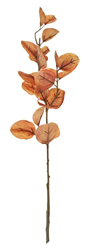 artplants.de Künstlicher Eukalyptus Zweig SOPONG, braun, 60cm - Kunststoff Zweig von artplants