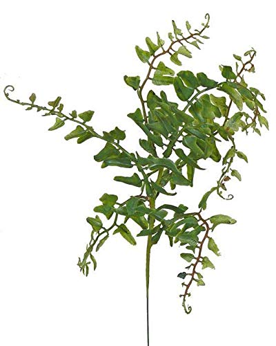 artplants.de Künstlicher Frauenhaarfarn Finley auf Steckstab, 7 Wedel, grün, 35cm - Kunstfarn - Künstliche Zimmerpflanze von artplants.de