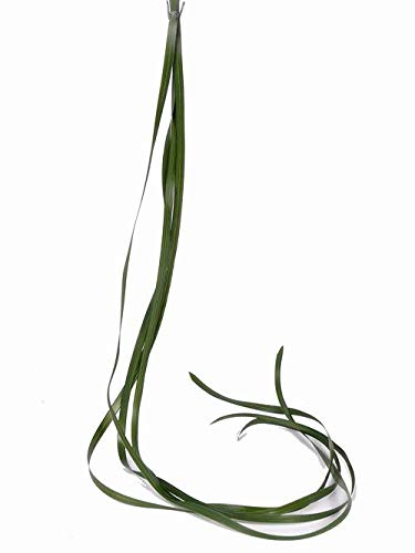 artplants.de Künstlicher Hänger Gras Segge JURO, grün, 120cm, Ø 1cm - Kunstgras von artplants