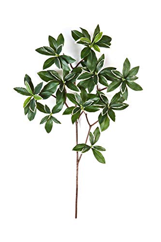 artplants.de Künstlicher Japanischer Spindelstrauch Zweig Sachiko, 95 Blätter, grün-weiß, 55cm - Kunst Strauch - Deko Pflanze von artplants