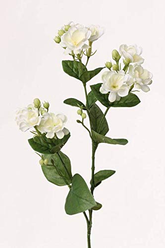 artplants.de Künstlicher Jasmin Zweig SINJA, 9 Blüten, weiß - grün, 60cm - Kunstzweig - Künstliche Blumen von artplants