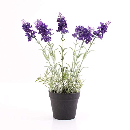 artplants.de Künstlicher Lavendel im Topf, dunkelviolett, 29cm - Kunstblume - Deko Blume von artplants
