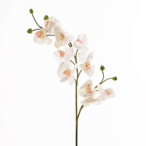 artplants.de Künstlicher Orchideenzweig, real Touch, 10 Blüten, Creme - weiß, 85cm - Phalaenopsis - Kunstorchidee von artplants