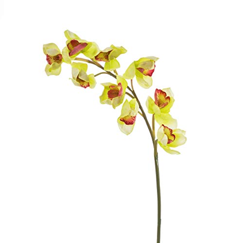 artplants.de Künstlicher Orchideenzweig, real Touch, gelb - grün, 80cm - Cymbidium - Kunstorchidee von artplants