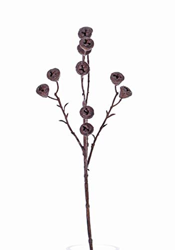 artplants.de Künstlicher Zweig Eukalyptus Zweig Basilius mit Früchten, braun, 60cm von artplants