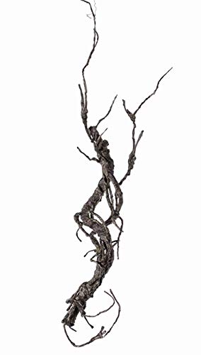 artplants.de Künstlicher Zweig Korkenzieherweide JACE, braun - grau, 55cm von artplants