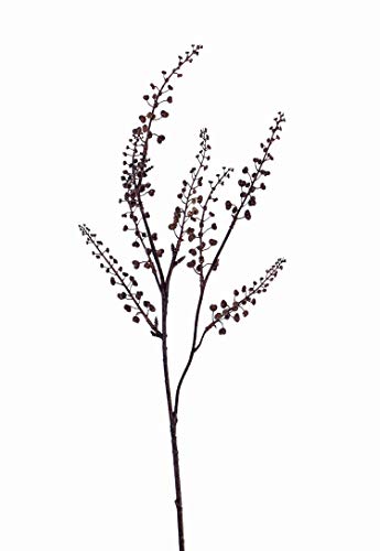 artplants.de Künstlicher Zweig Scheinbeeren Zweig BRONKO mit Beeren, braun, 70cm von artplants