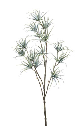 artplants.de Künstlicher Zweig Tillandsia Stricta Zweig Mondrian, grün-grau, 65cm von artplants