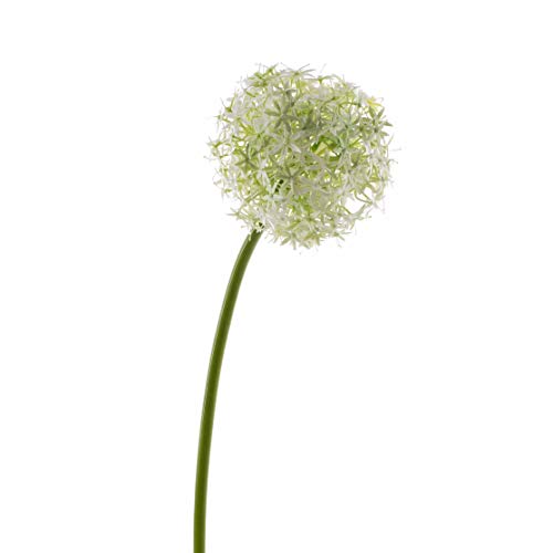 artplants.de Künstliches Allium Samara, Creme, 75cm, Ø 12cm - Kunstblume - Blumenlauch von artplants.de