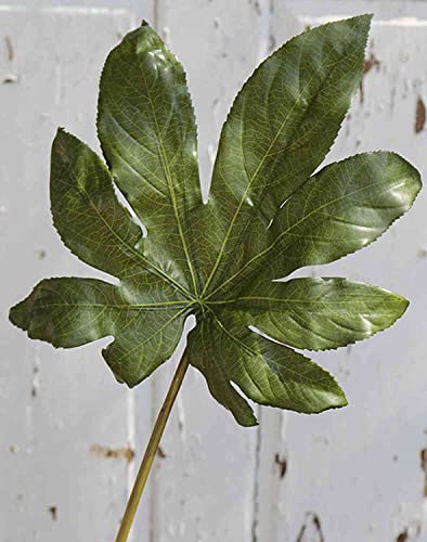 artplants.de Künstliches Aralienblatt Salvatore, grün, 70cm - Kunst Aralienblatt von artplants