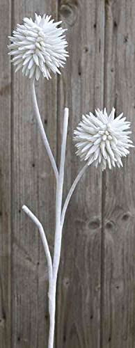 artplants.de Kunst Allium CHIRARA, weiß, 95cm, Ø10cm - Plastik Allium von artplants