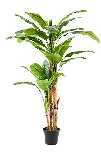 artplants.de Kunst Bananenbaum Bagheera, groß, 210cm - Kunst Bananenbaum - Bananenpflanze Künstlich von artplants