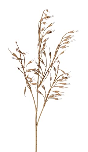 artplants.de Kunst Gras Glatthafer Zweig TOIVO, Ähren, braun, 65cm - Künstliches Grasbündel von artplants