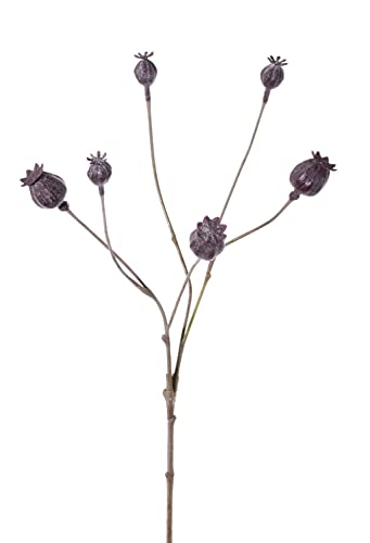 artplants.de Kunst Mohnkapseln ASUMAN, Dunkelbraun, 70cm - Deko Blume von artplants