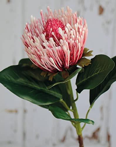 artplants.de Kunst Protea Tanja, rosa-pink, 65cm, Ø10cm - Künstliche Protea von artplants