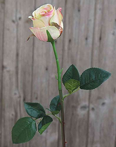 artplants.de Kunst Rose SAPINA, gelb-rosa, 60cm, Ø6cm - Samt Rose von artplants