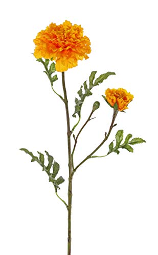 artplants.de Kunst Studentenblume ASTIE, orange, 60cm, Ø5-9cm - Deko Blumen/Textilblumen von artplants