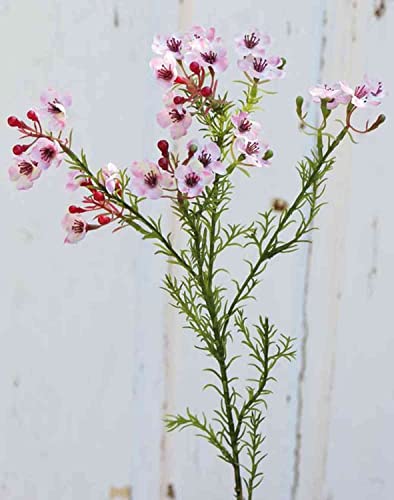 artplants.de Kunst Wachsblume Aisha, rosa, 65cm, Ø1-1,5cm - Kunststoff Wachsblume von artplants