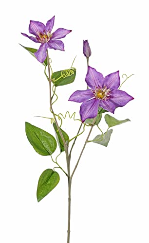 artplants.de Kunst Waldrebe Doran, violett, 75cm, Ø13cm - Dekozweig Waldrebe von artplants.de