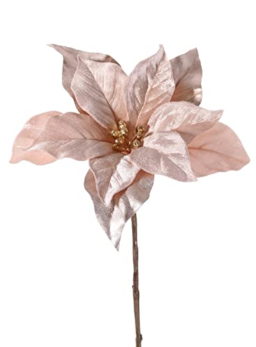 artplants.de Kunst Weihnachtsstern Sheba, samt, beige-rosa, 55cm, Ø23cm - Poinsettia Kunstpflanze von artplants