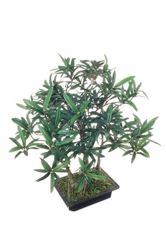 artplants.de Kunstbaum Bonsai Steineibe ALIKANA mit Wurzeln, Dekoschale, 45cm - Kunstbonsai von artplants