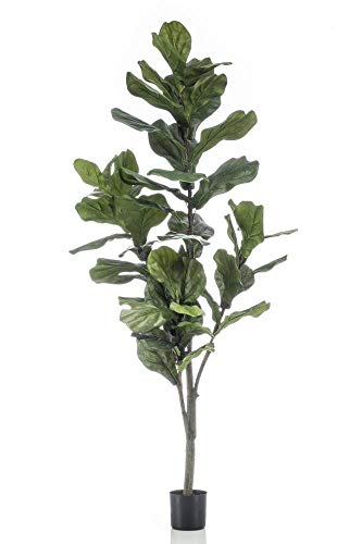 artplants.de Kunstbaum Ficus Lyrata ENRIKO, Kunststamm, grün, 150cm - Deko Ficus Baum - Zier Baum Ficus von artplants