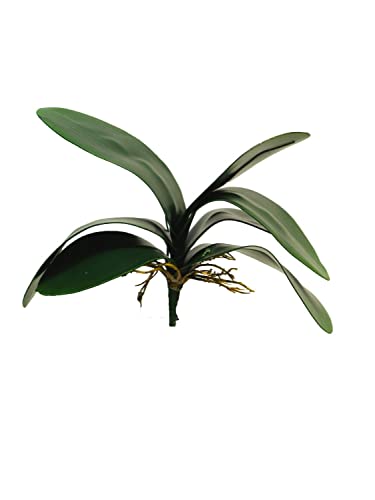 artplants.de Kunstblätter Phalaenopsis Orchidee XIAOQIN mit Luftwurzeln, 30 cm - Orchidee Kunststoff Blätter von artplants