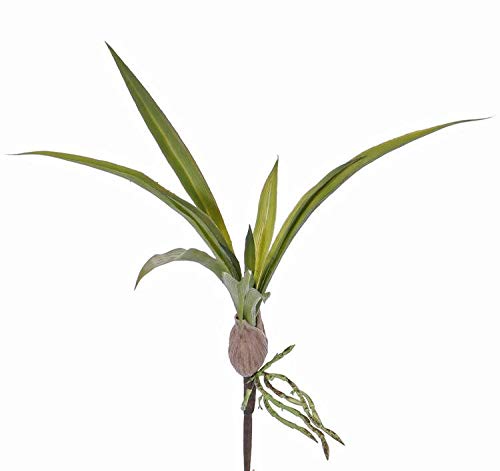 artplants.de Kunstblatt Oncidium Orchidee Hennes, Luftwurzeln, 25x40cm - Kunstpflanze/Deko Blatt von artplants