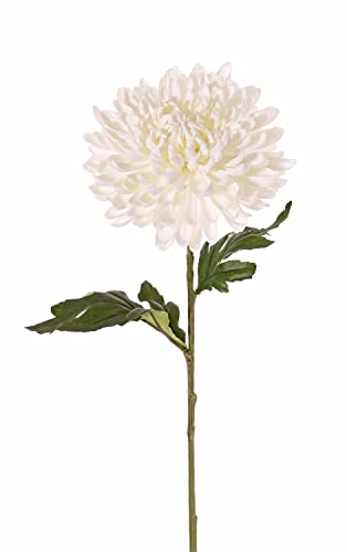 artplants.de Kunstblume Chrysantheme DELPHINA, Creme, 65cm, Ø14cm - Chrysantheme künstlich von artplants