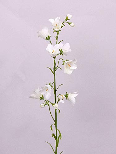 artplants.de Kunstblume Glockenblume Campanula weiß 66cm - Künstliche Blume von artplants.de