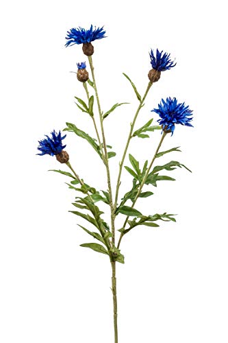artplants.de Kunstblume Kornblume ORTIGO, blau, 60cm - Kunststoffblume/Zyane künstlich/Kornblumen Deko von artplants.de