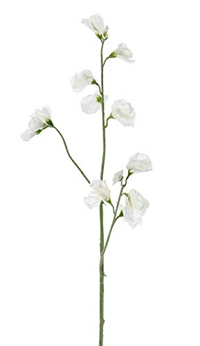 artplants.de Kunstblume Lathyrus ASFALOTH, weiß, 65cm - Deko Blumen/Textilblumen von artplants.de